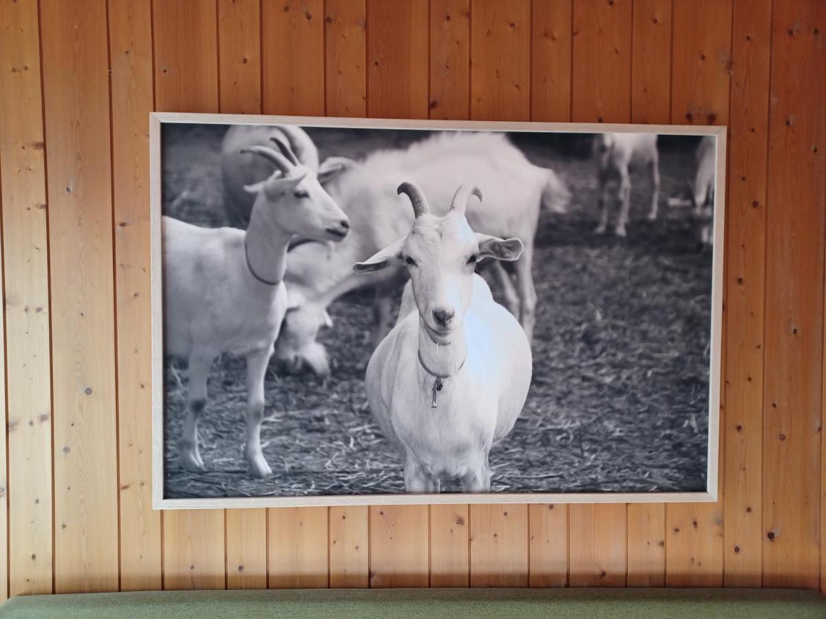 Hotel Tell Seelisberg Dış mekan fotoğraf